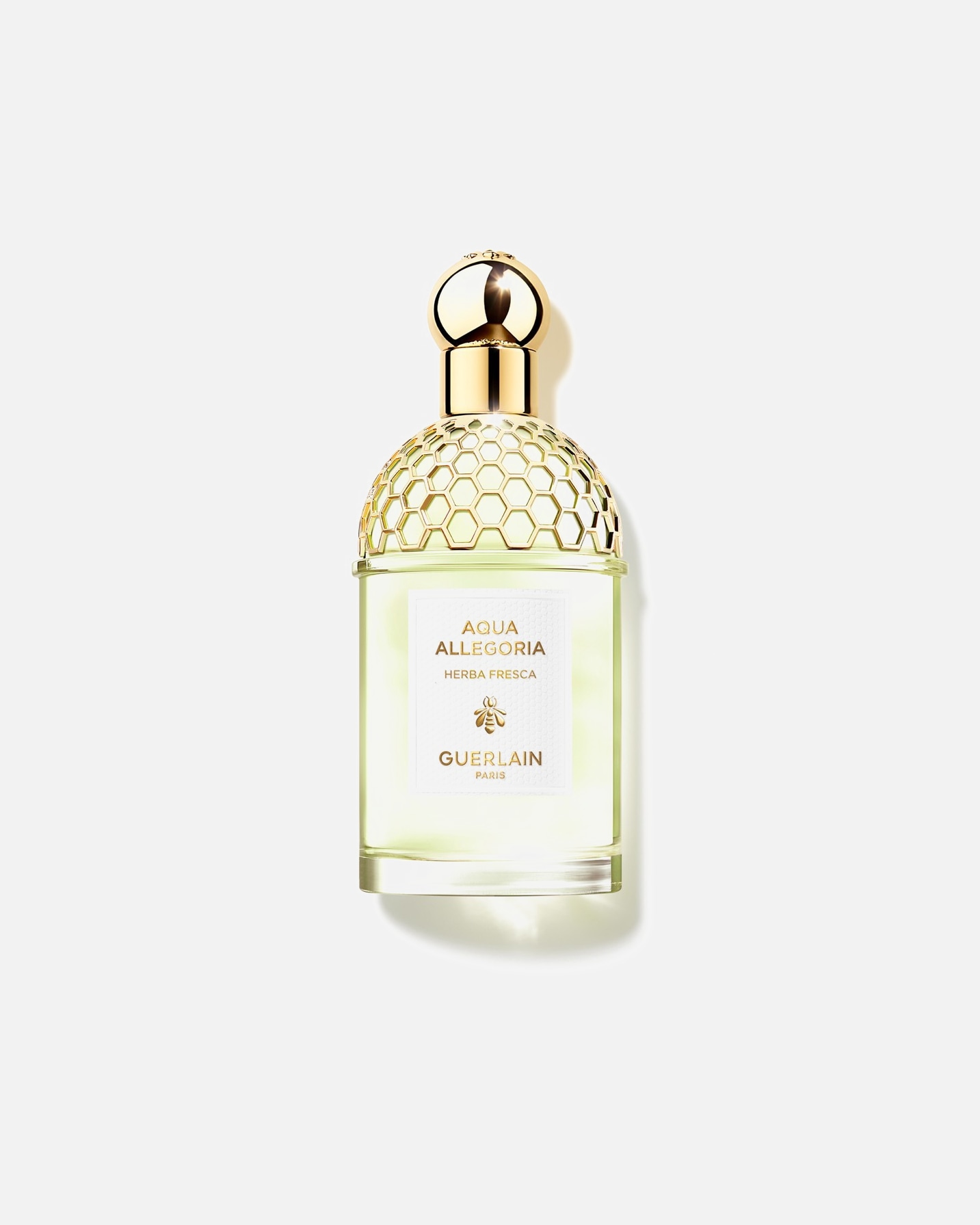 Eau de Toilette für Weiblich Guerlain Aqua Allegoria Herba Fresca 125 ml
