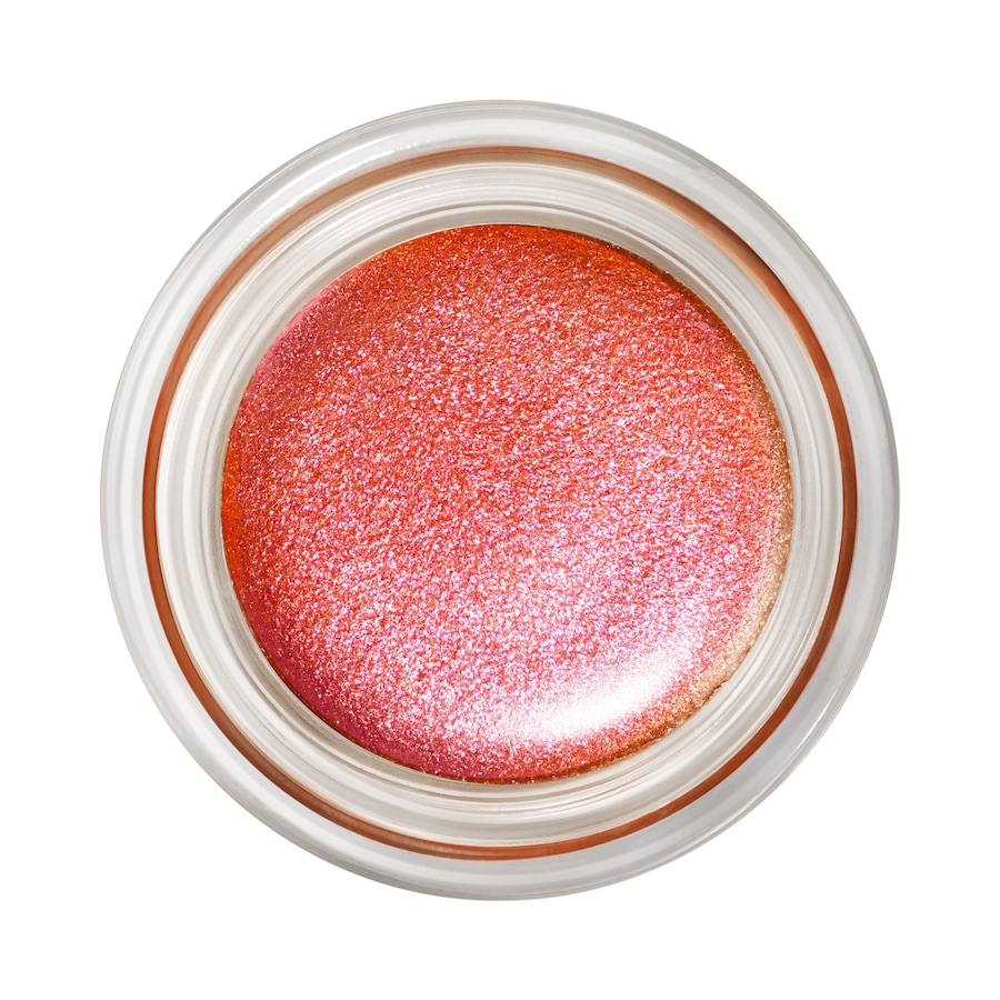MAC Pro Longwear Paint PotMake-up | 5.0 g | 5120,00 / 1.0 kg