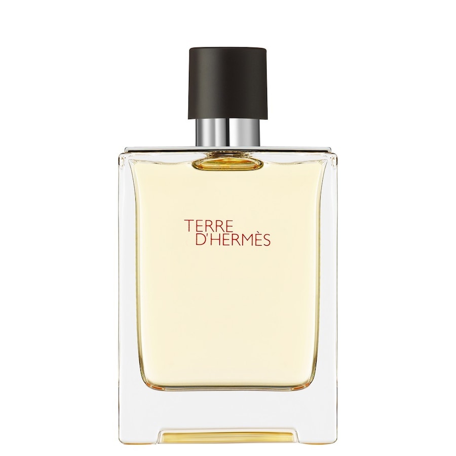 HERMÈS Terre d’Hermès Eau de Toilette 100 ml Herren