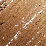 METALLIC GOLDEN BRONZE