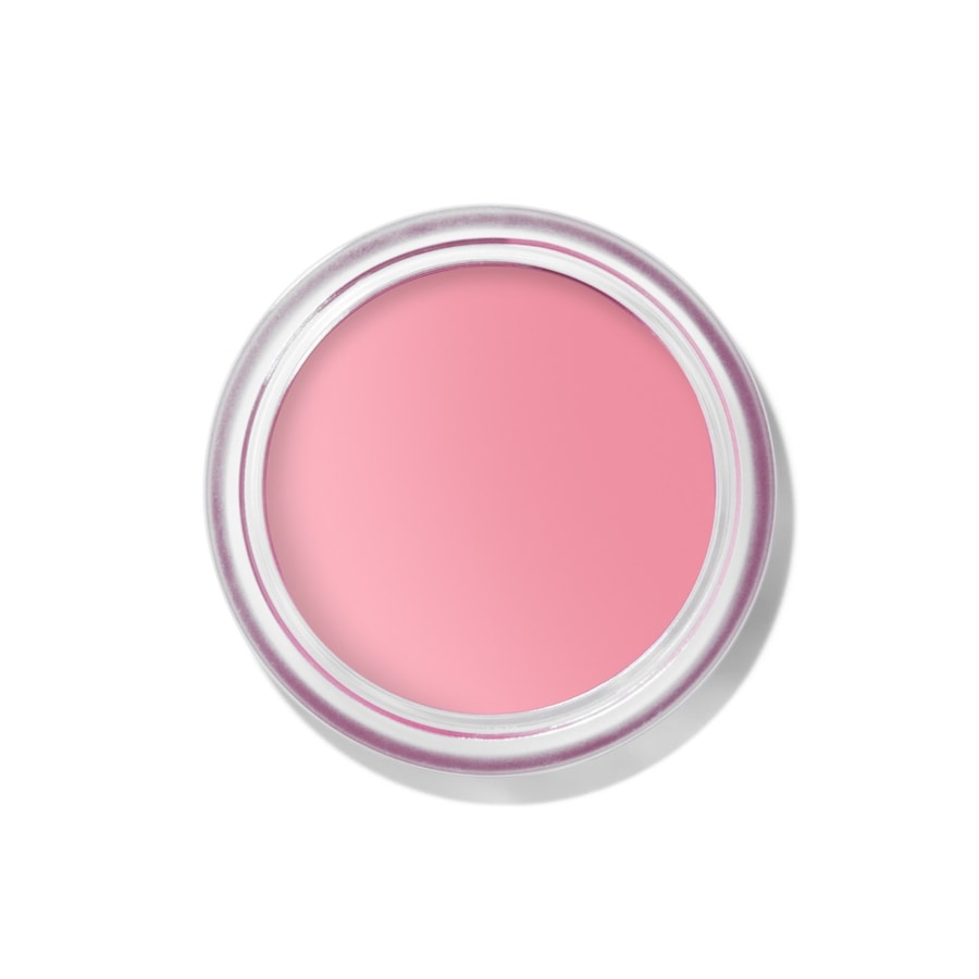 Bobbi Brown Pot Rouge Velvet Matte Blush PETAL PINK 8.5 g Weiss