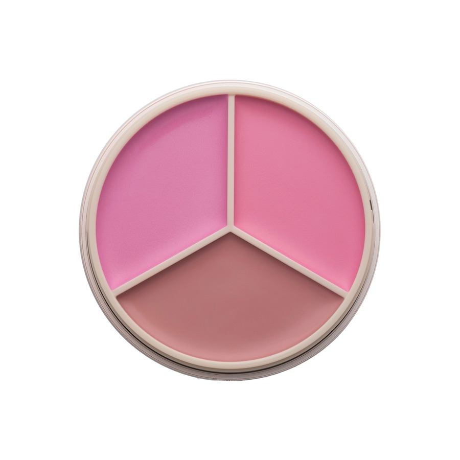 Anastasia Beverly Hills Magic Touch Blush PINK 9 g Rosegold