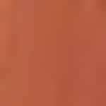 05 - DELICIOUS MELON