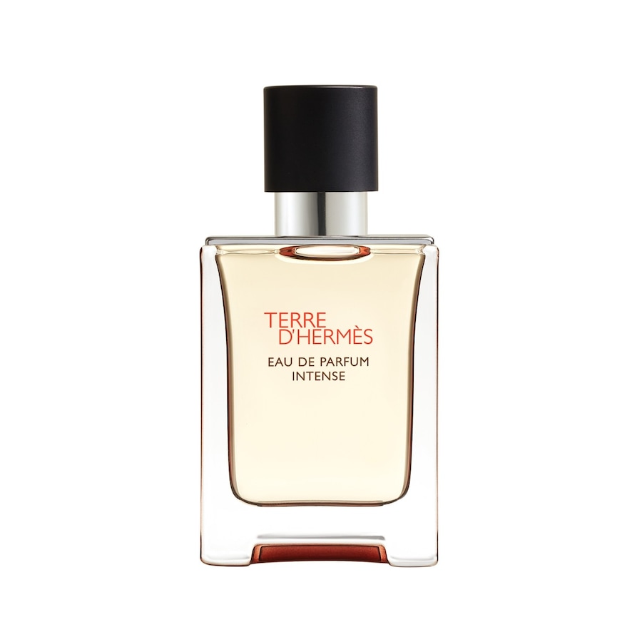HERMÈS Terre d’Hermès Intense Eau de Parfum 50 ml Herren