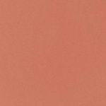 442 - ACCESSOIRE