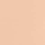 37 Neutral Porcelain