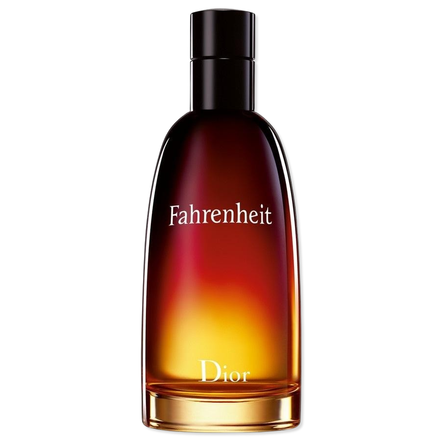 Dior DIOR - Fahrenheit Eau de Toilette 100 ml Herren (890 € / 1 l)