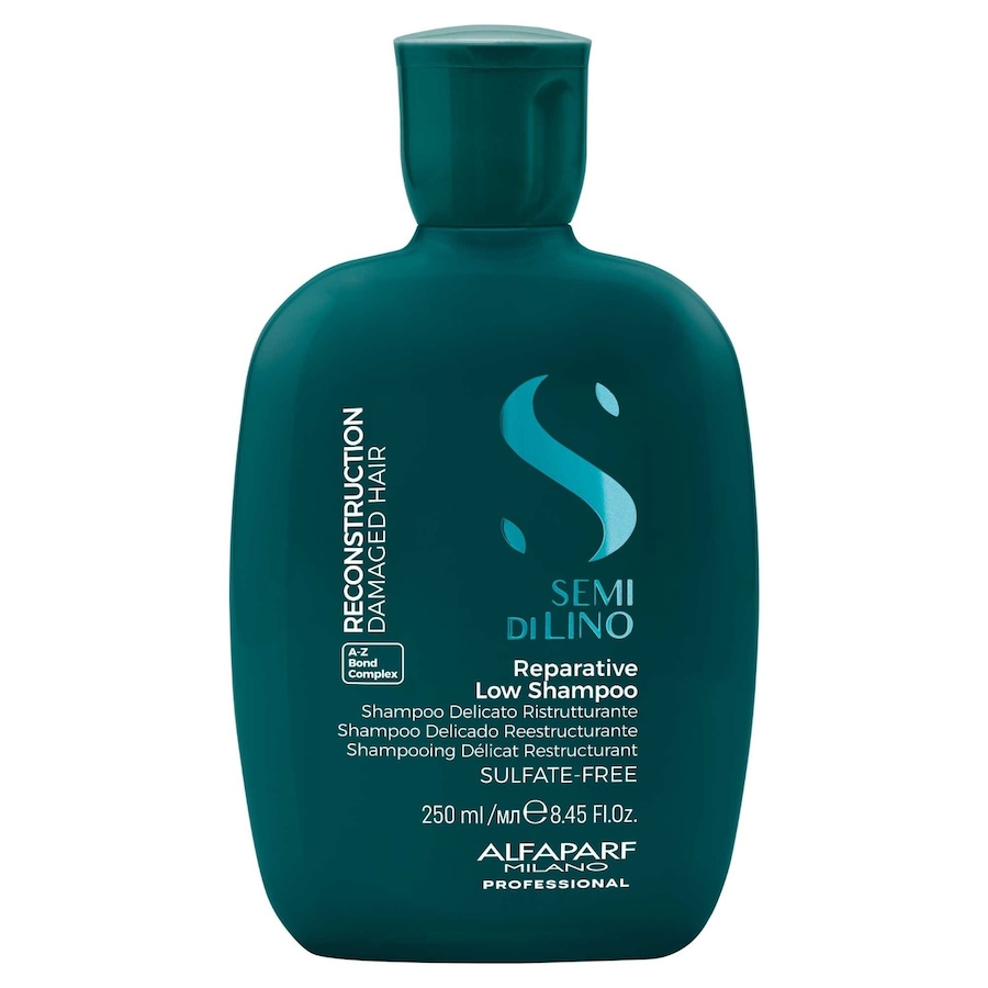 ALFAPARF MILANO Shampoo 250 ml