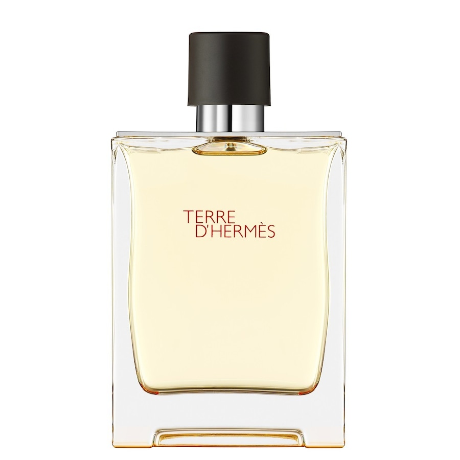HERMÈS Terre d’Hermès Eau de Toilette 200 ml Herren