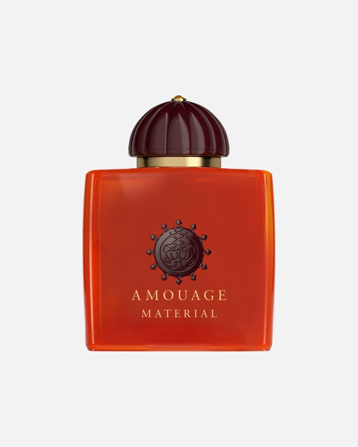 Eau de Parfum für Unisex Amouage 100 ml 100 ml