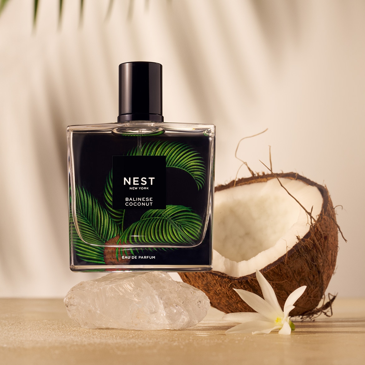 Ein rechteckiger, transparenter Glasflakon mit schwarzem Verschluss und einem Etikett mit grünen Palmblättern und dem Schriftzug „NEST New York Balinese Coconut Eau de Parfum“ steht neben einer halben Kokosnuss.