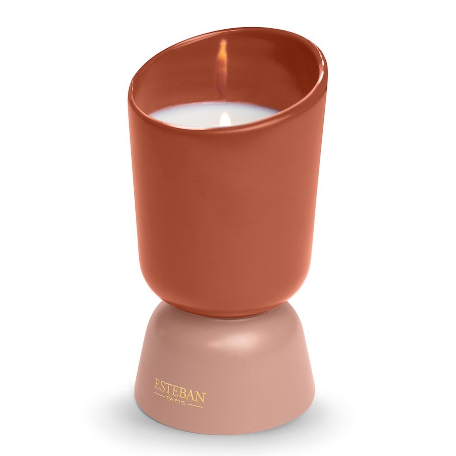 Esteban Iconic Color Teck & Tonka Kerze 220 g