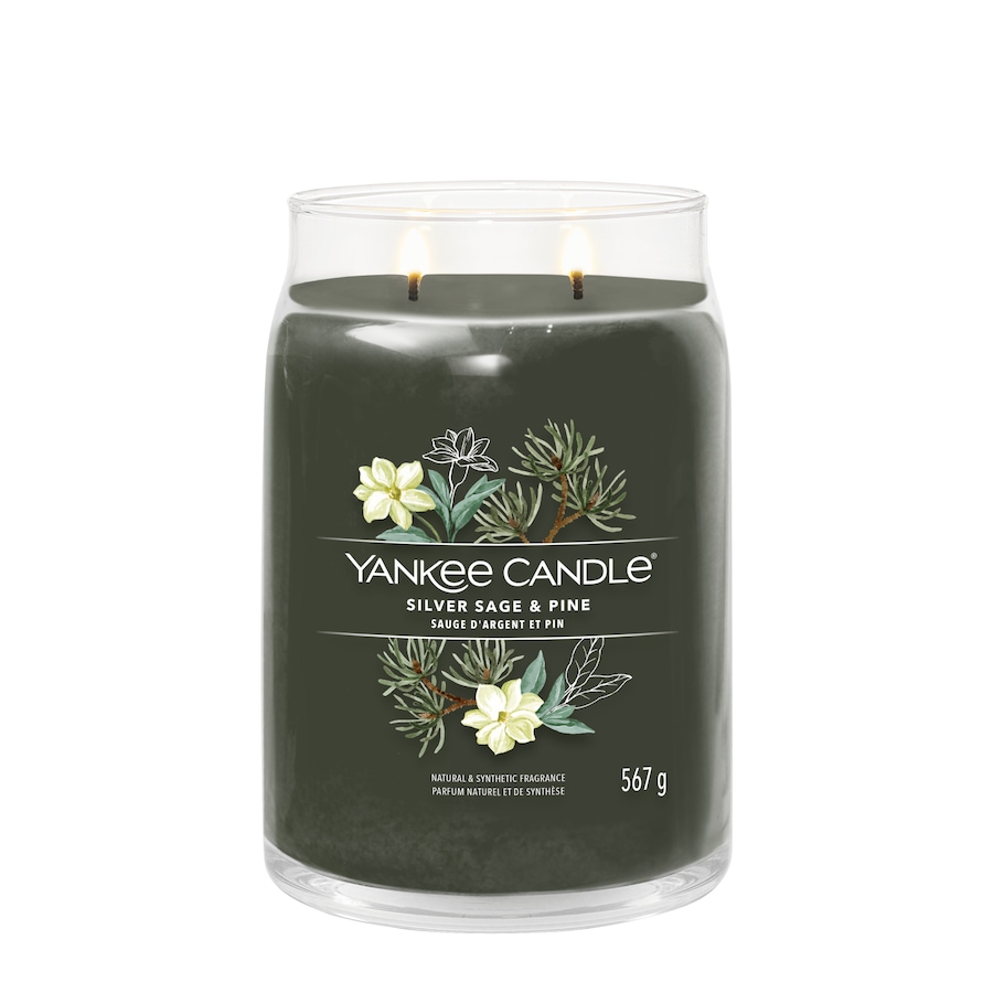 YANKEE CANDLE Silver Sage & Pine Kerze 567 g