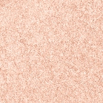 19 Matte Neutral Beige