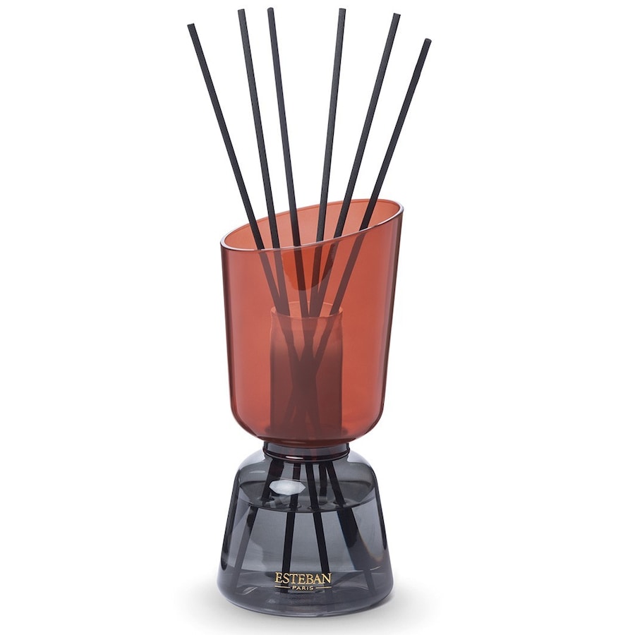 Esteban Iconic Color Teck & Tonka Raumduft 250 ml