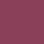 01 - FUCHSIA FUTURE