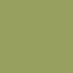 063 - OLIVE ALLURE