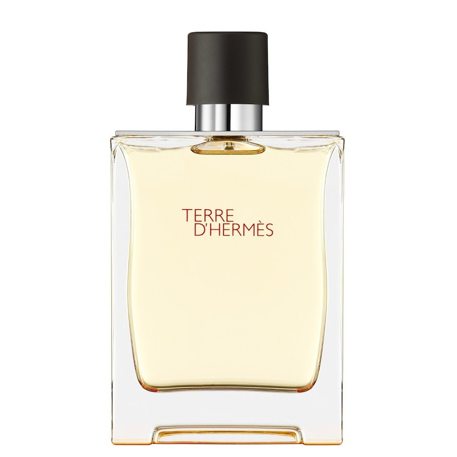 HERMÈS Terre d’Hermès HERMES Eau de Toilette 200 ml Herren