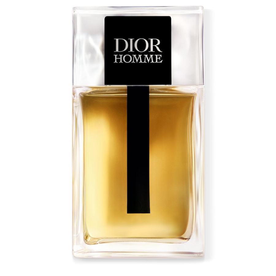 DIOR Dior Homme Eau de Toilette 100 ml Herren