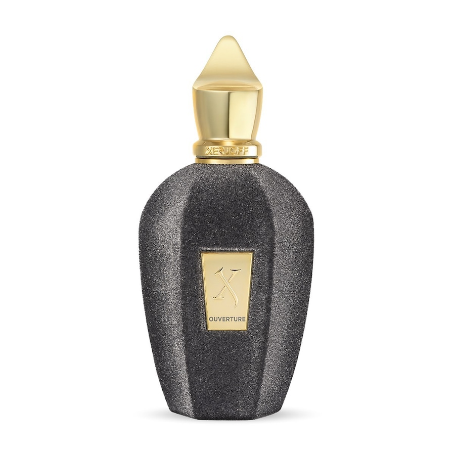 XERJOFF Vibe Ouverture Eau de Parfum 100 ml unisex
