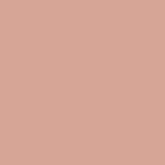 010 - LIGHT ROSE