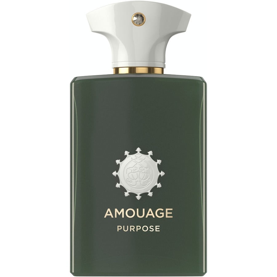 Amouage The Odyssey Collection Purpose Eau de Parfum 100 ml unisex