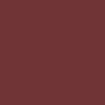 070 - SCENE STEALER