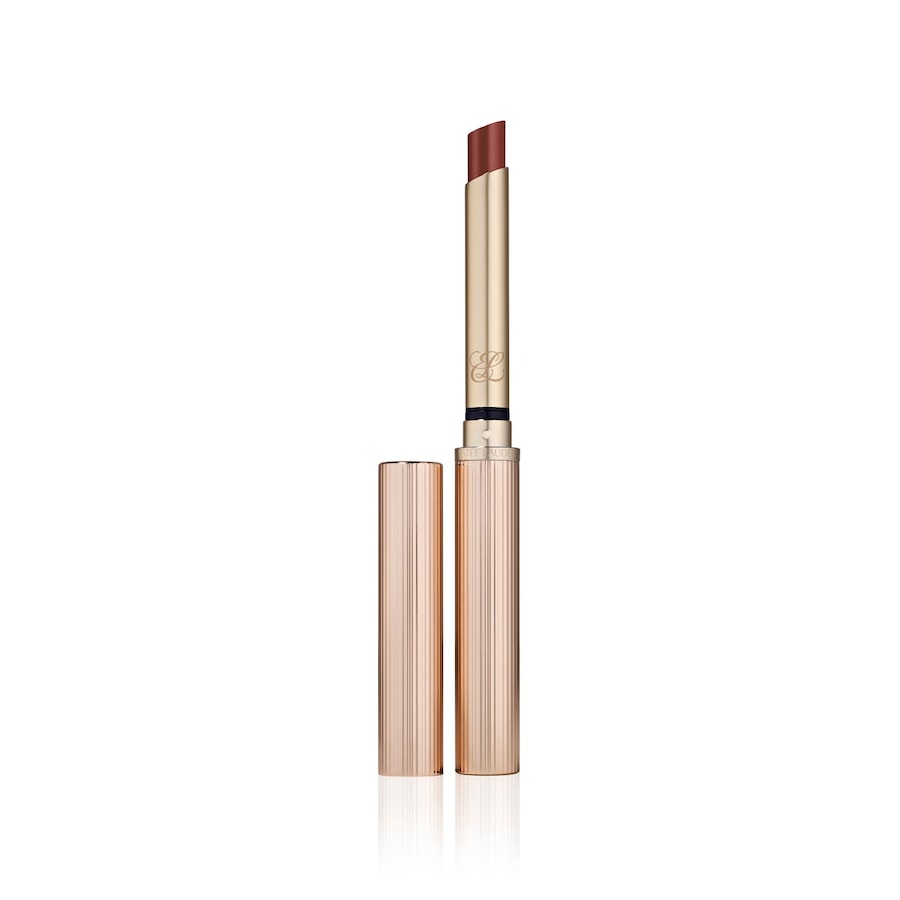 Estée Lauder Pure Color Explicit Slick Shine Lipstick Lippenstift 6 - SECOND GLANCE 7 g Braun