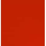 Nr. 28 - Stay Stuntin'