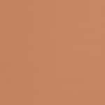 Sports BB Compact SPF 50+