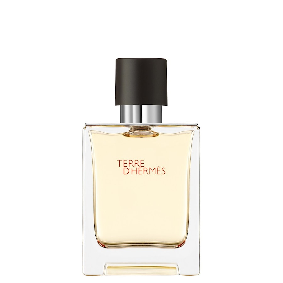 HERMÈS Terre d’Hermès Eau de Toilette 50 ml Herren