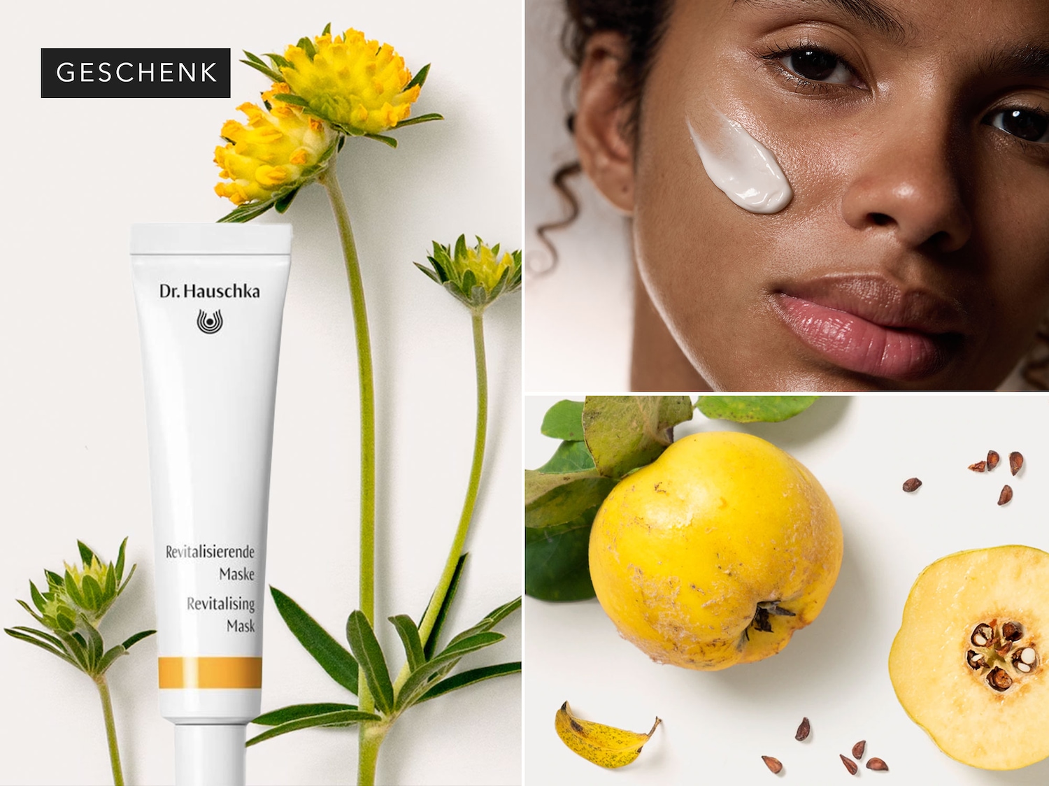 Dr. Hauschka Revitalisierende Maske in einer weißen Tube, begleitet von gelben Blüten und einer Quitte, die die revitalisierende Wirkung der Maske unterstreicht.