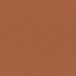 ALWAYS SUNNY