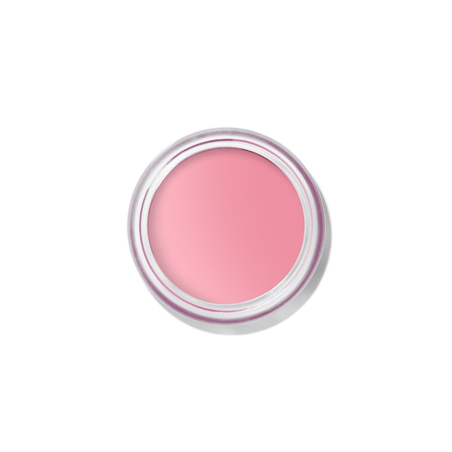 Bobbi Brown Pot Rouge Velvet Matte Blush PETAL PINK 8.5 g Weiss Damen