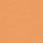 12 - GOLDEN