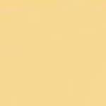 6.3 - DUNKEL GOLDBLOND