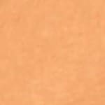 11.5 Tan