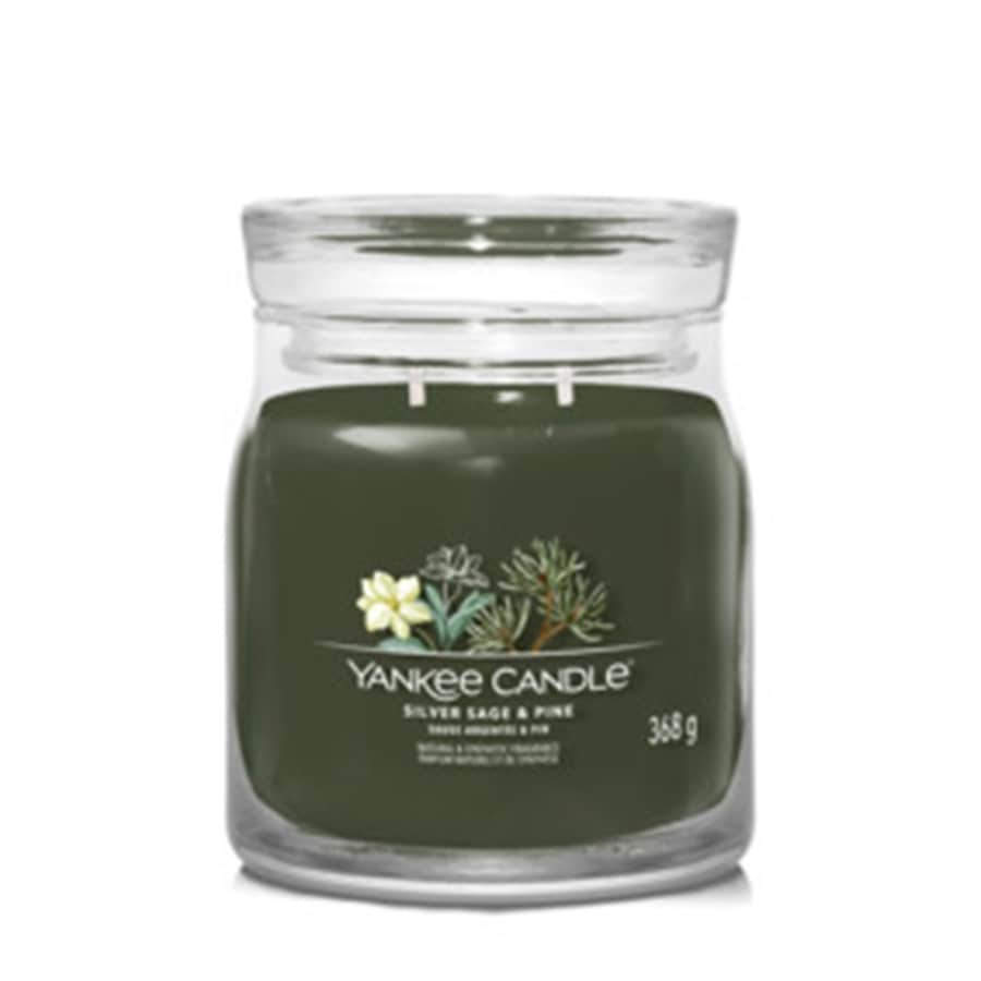 YANKEE CANDLE Silver Sage & Pine Kerze 367 g
