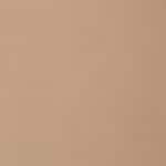 300N = 049 Beige Pêche