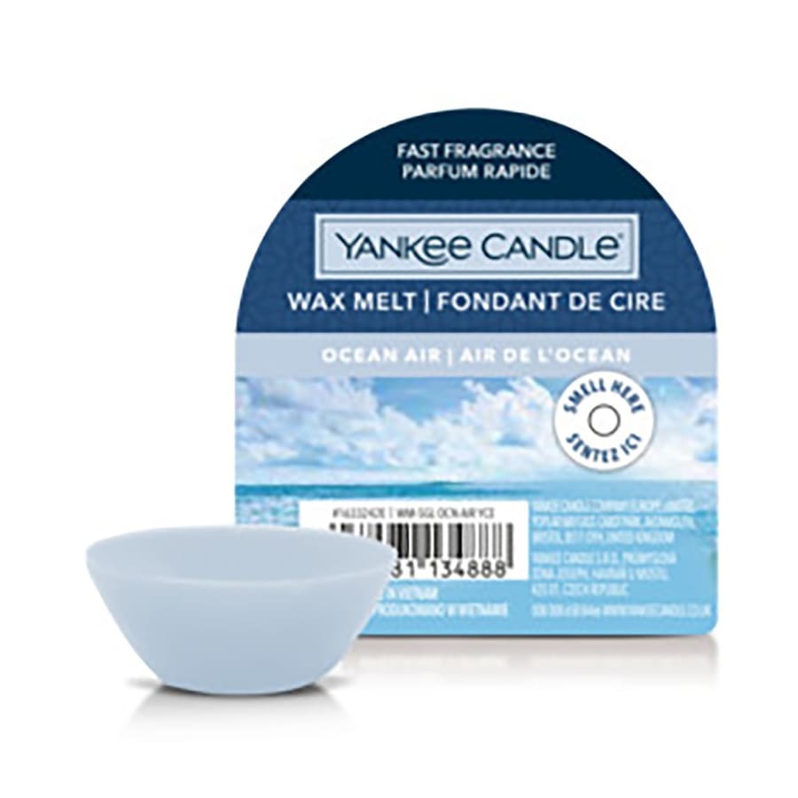 YANKEE CANDLE Wax Melt Kerze 22 g