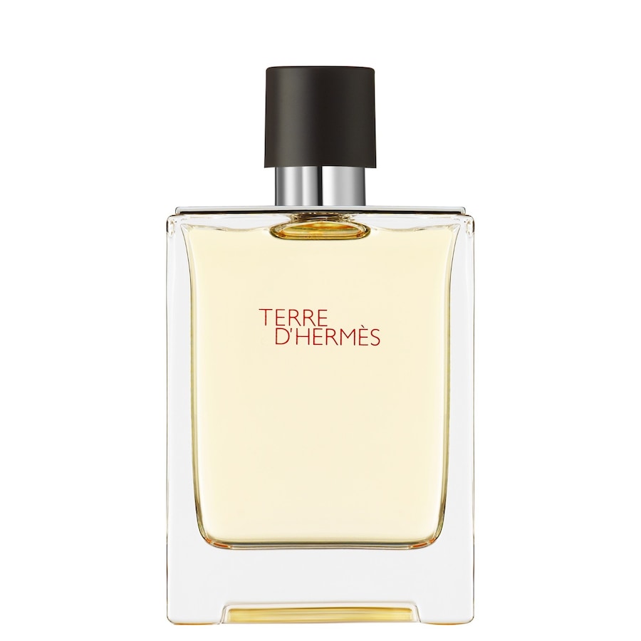 HERMÈS Terre d’Hermès HERMES Eau de Toilette 100 ml Herren