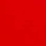 AE0009 - ROUGE