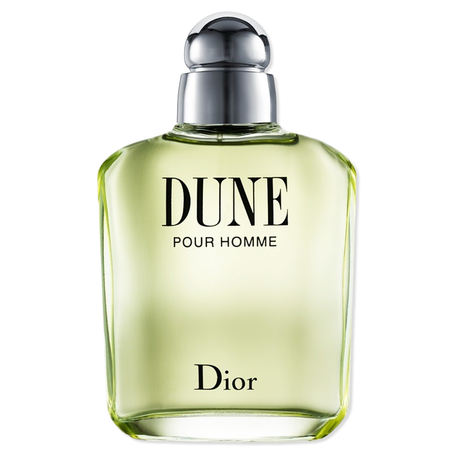 Dior DIOR - Dune Pour Homme Eau de Toilette 100 ml Herren (1190 € / 1 l)