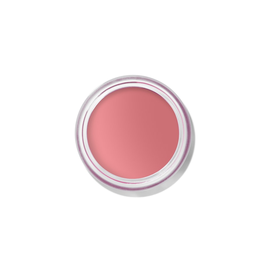Bobbi Brown Pot Rouge Velvet Matte Blush 01 - TEA ROSE 8.5 g Weiss Damen