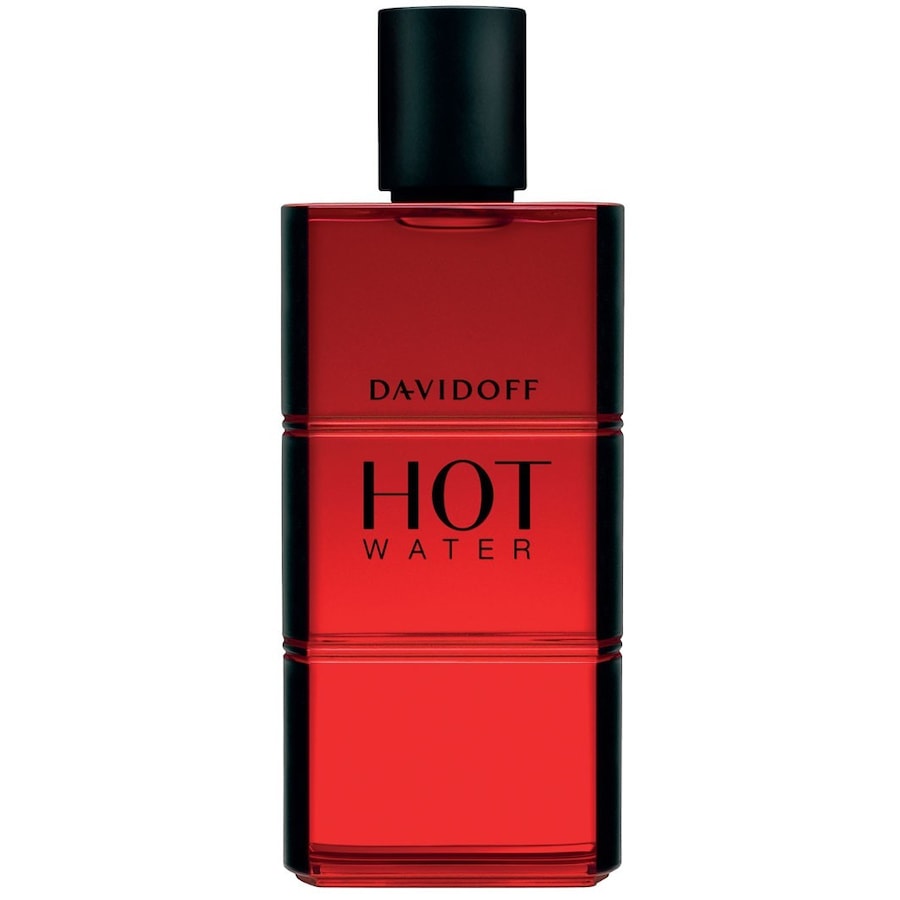 Davidoff Hot Water Eau de Toilette 110 ml Herren