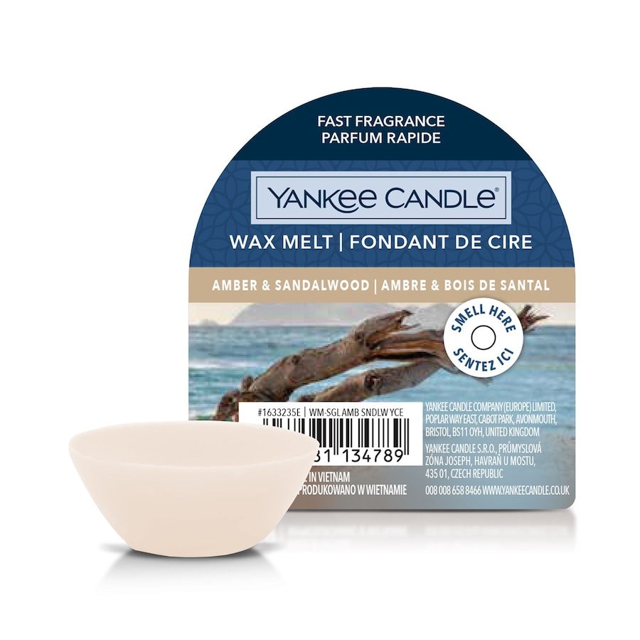 YANKEE CANDLE Wax Melt Kerze 22 g