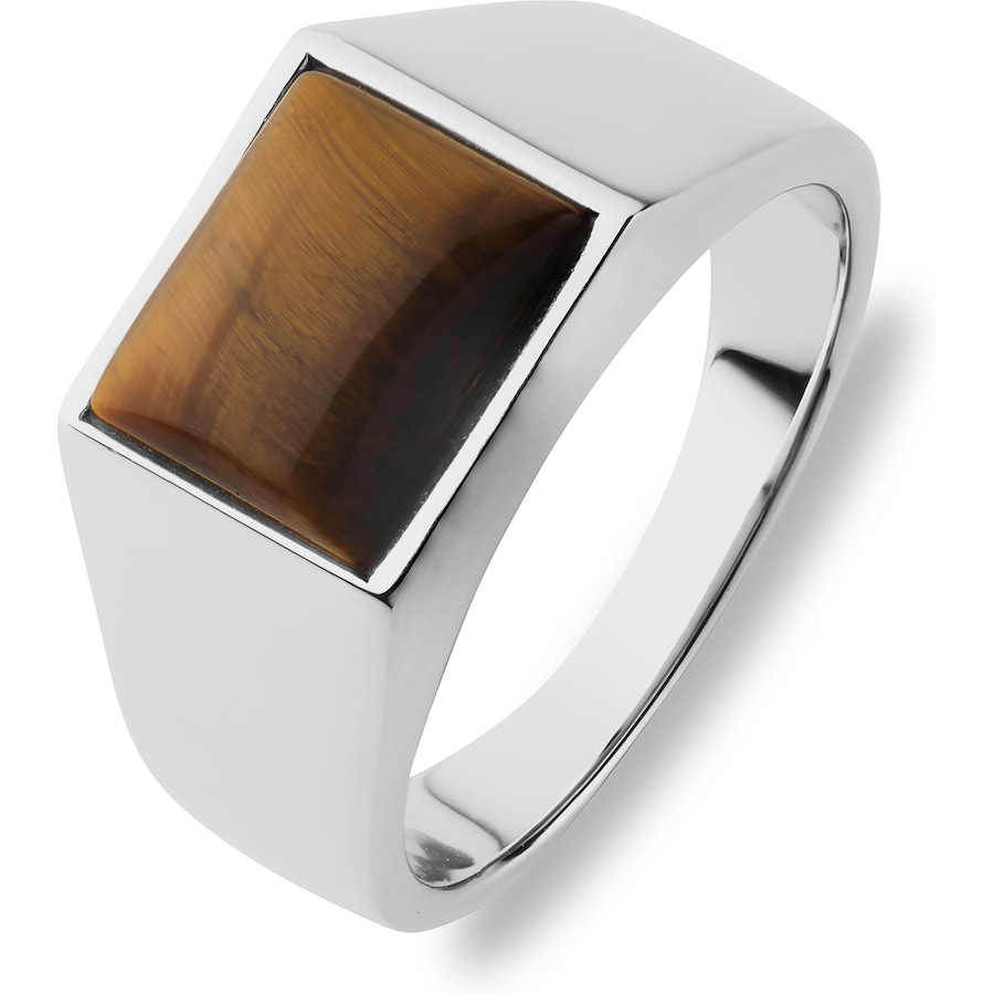 FAVS Herrenring Edelstahl 60 Herren