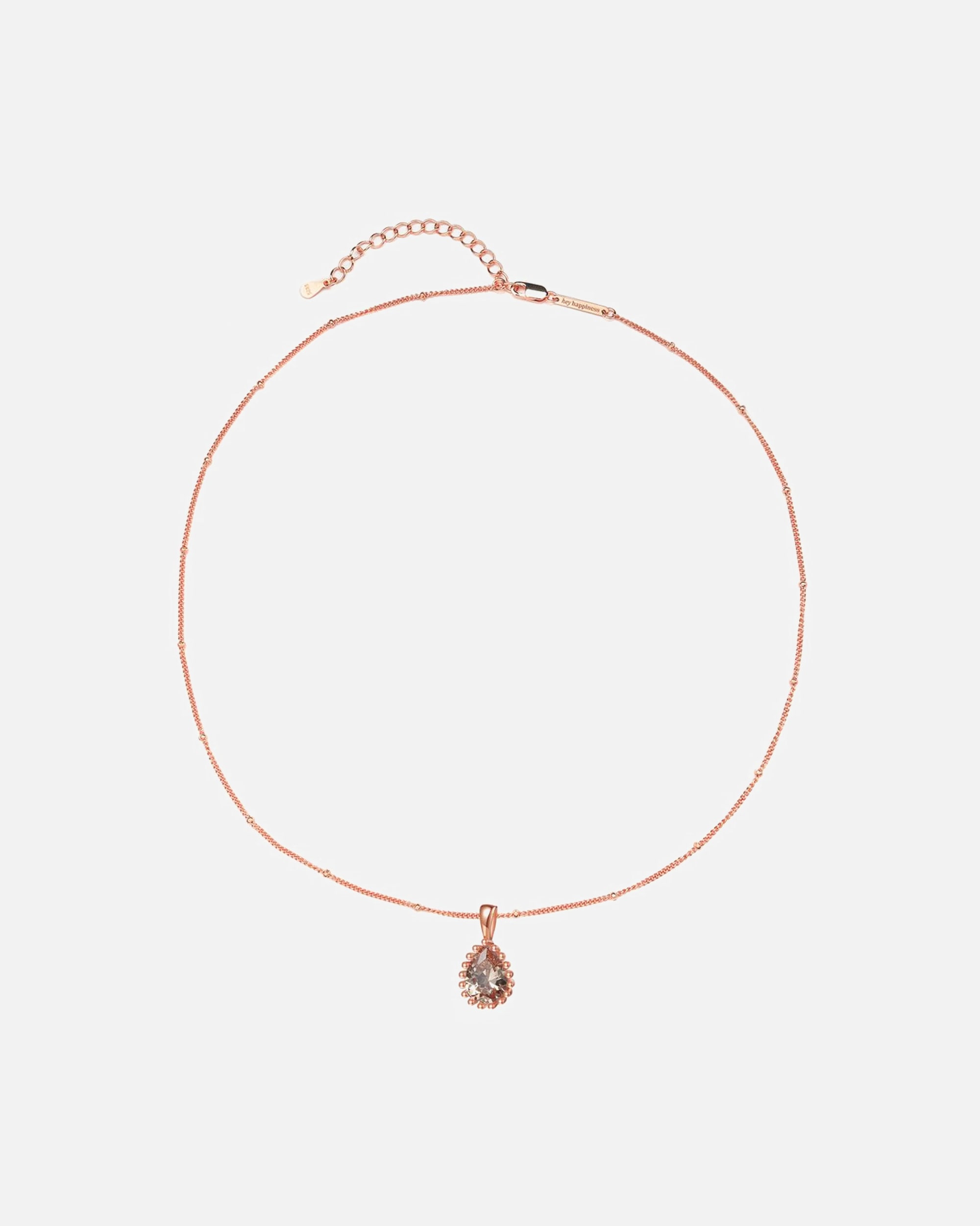 Halskette für Weiblich Hey Happiness Default Brand Line Januar Geburtsstein Halskette 925 Sterlingsilber Gold