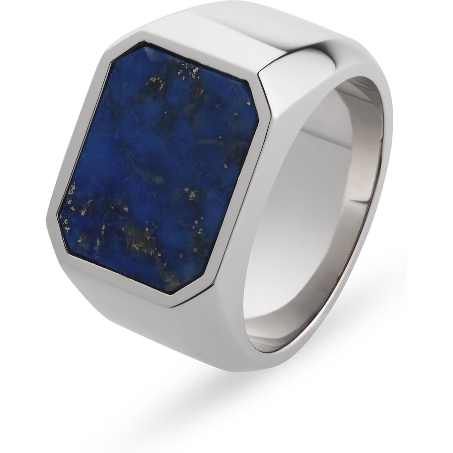 FAVS Herrenring Edelstahl 66 Herren