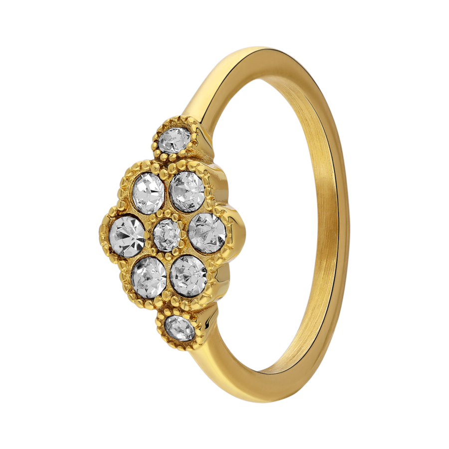 Lucardi Ring Stahl - Gelbgold 57mm Damen